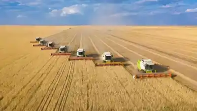 Министерство сельского хозяйства РК планирует развитие льготного финансирования в сфере АПК