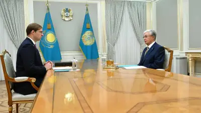 Турлов доложил Президенту о развитии шахмат