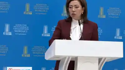 «Ожидаем замедление потребительского кредитования» - Мадина Абылкасымова