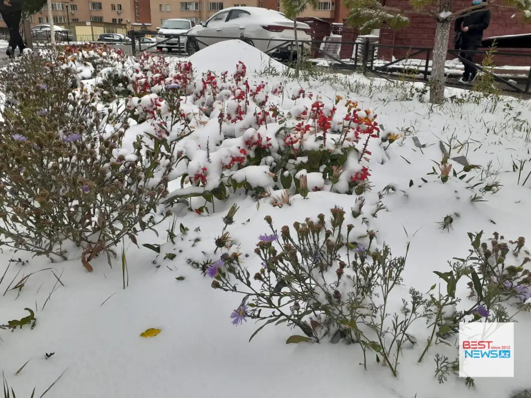 Первый снег в Нур-Султане - фото
