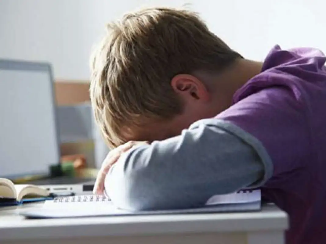 Президент Казахстана подписал закон, разрешающий удалять опасный контент для детей