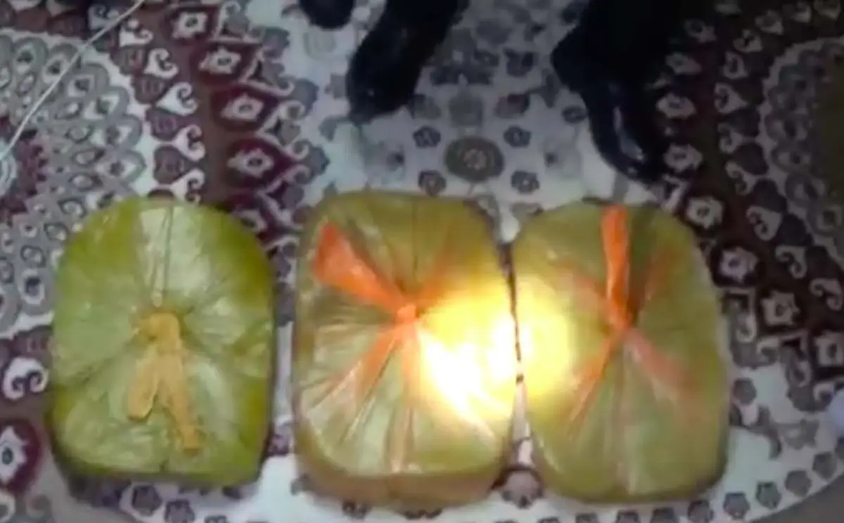 В Нур-Султане полиция изъяла партию наркотиков на 30 млн тенге - видео 