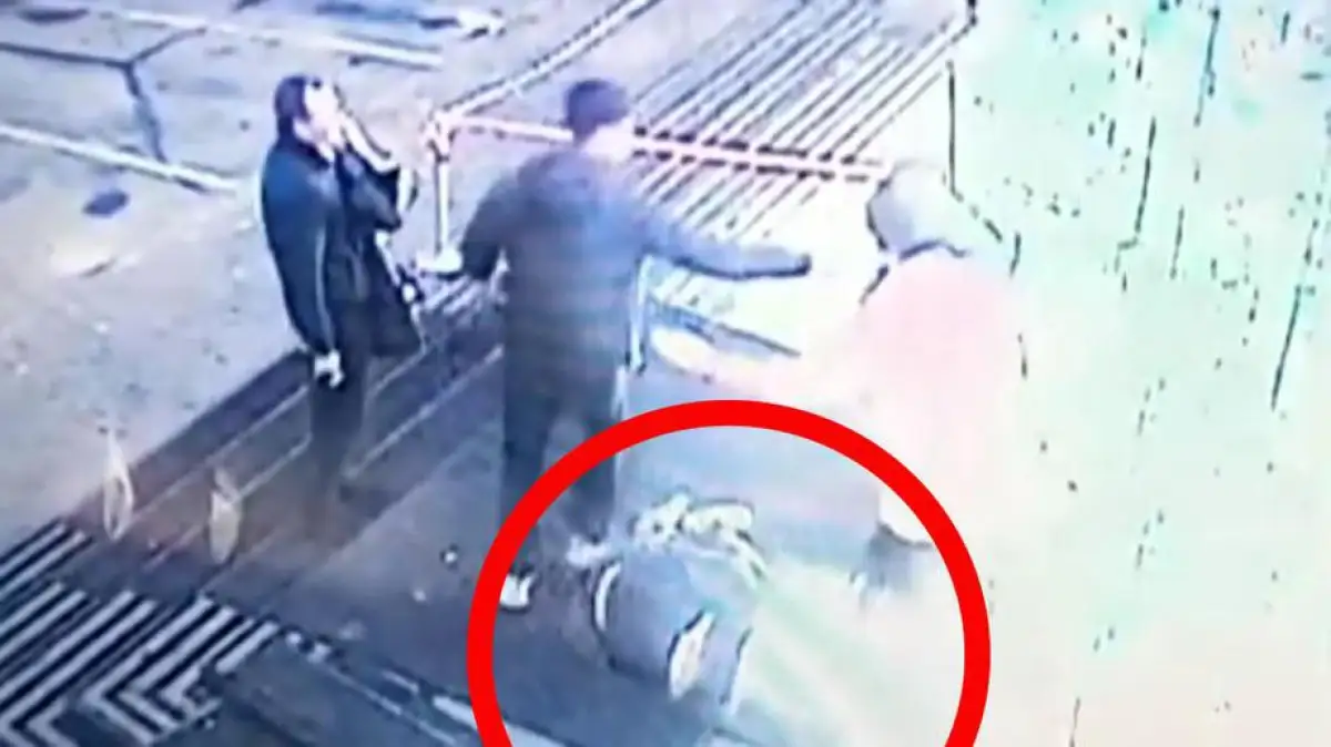 Казахстанец избил сына Жванецкого: МИД сделал запрос