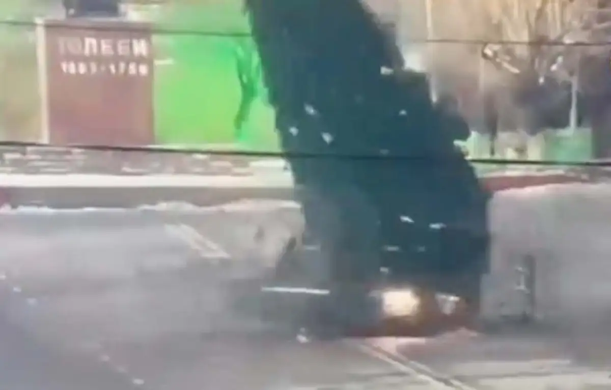 Протаранил ёлку в Сарыагаше: водителя установили