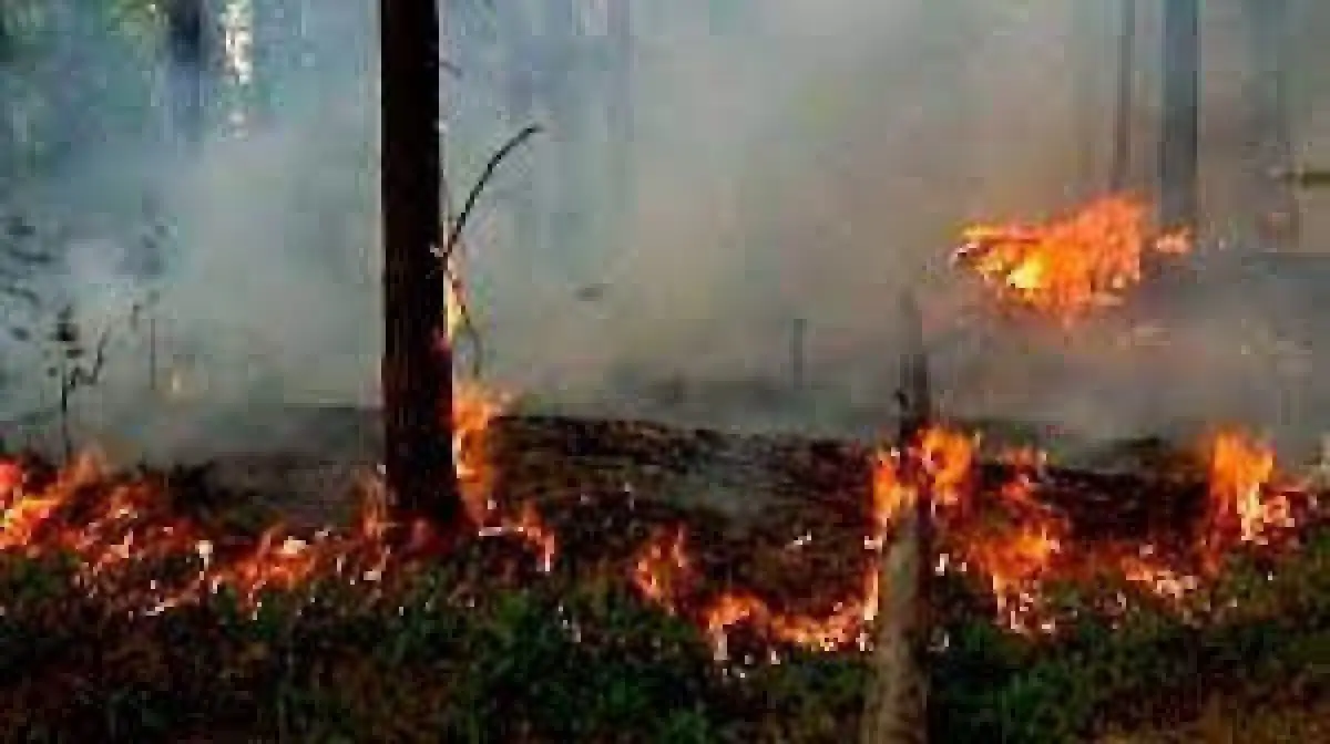 МЧС прогнозировал засуху, дефицит осадков, повышение температуры до +40 градусов и пожары