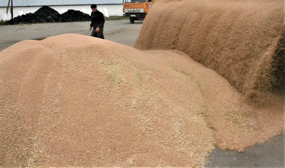 На каком уровне Казахстан ведет переговоры об отмене запрета на ввоз зерна в Россию