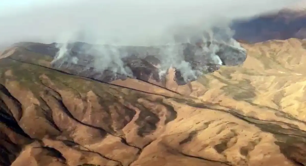 В Жамбылской области пока не могу потушить загоревшуюся траву