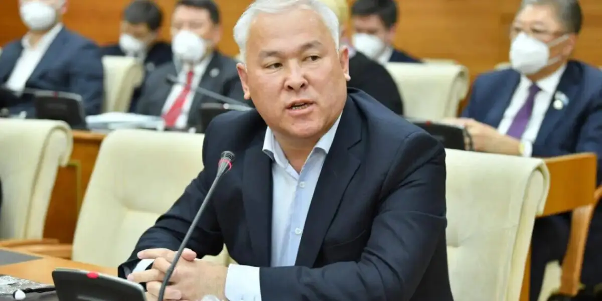 "Нужно ужесточить": мажилисменов Абенов считает возможным пересмотреть наказание для блогерши за оскорбление матерей