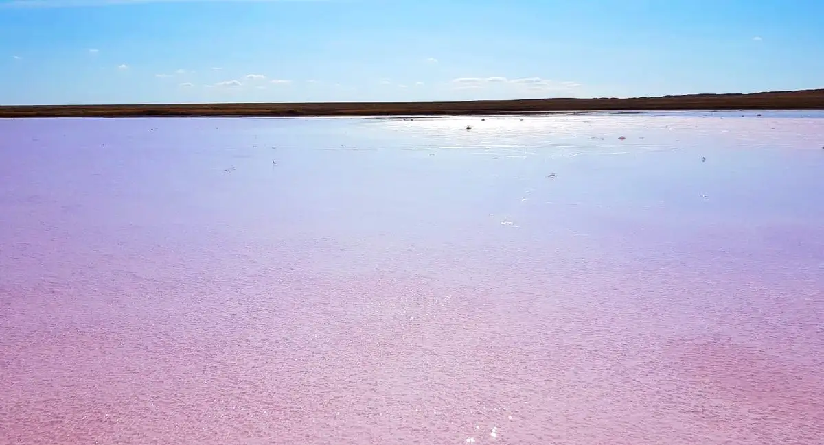Доездились: акимат запретил поездки на знаменитое "розовое" озеро
