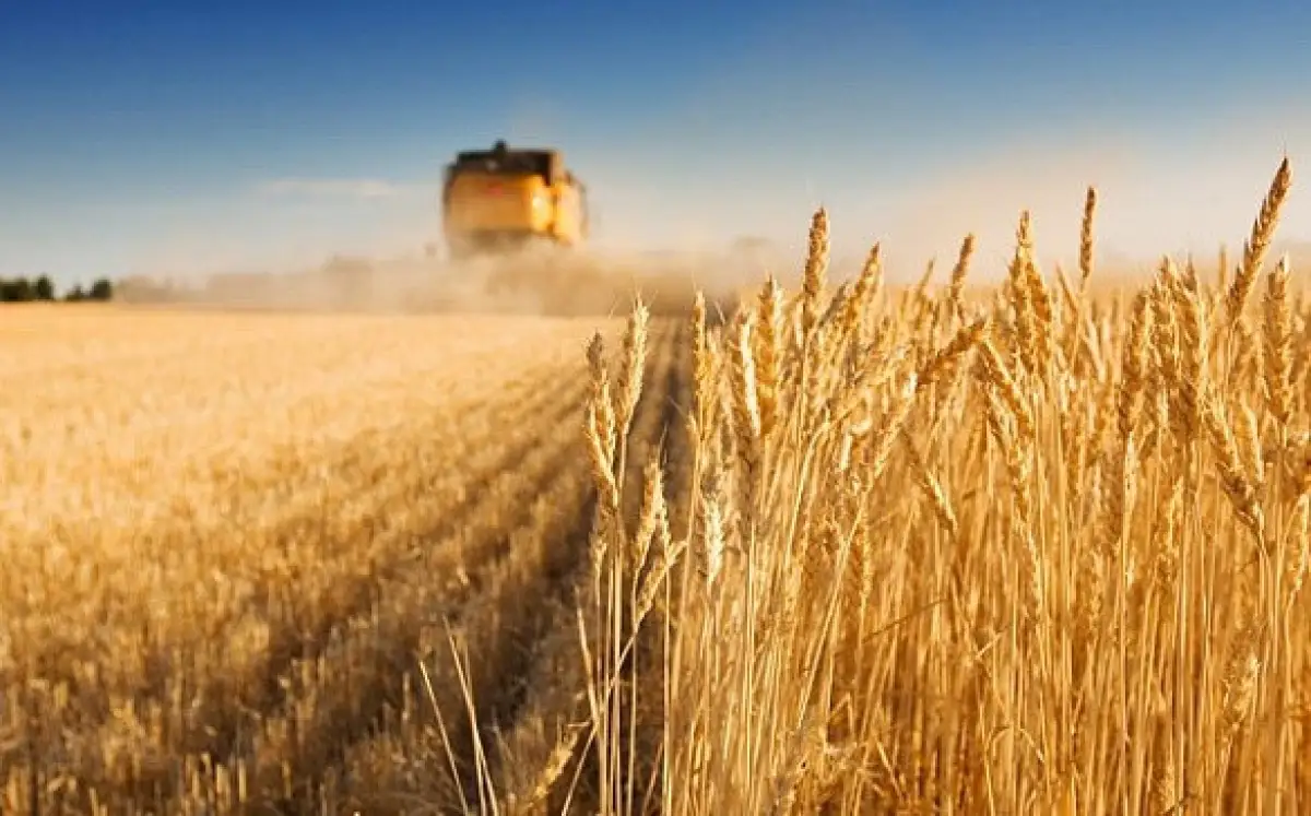 В Астане открывается первый Форум работников сельского хозяйства