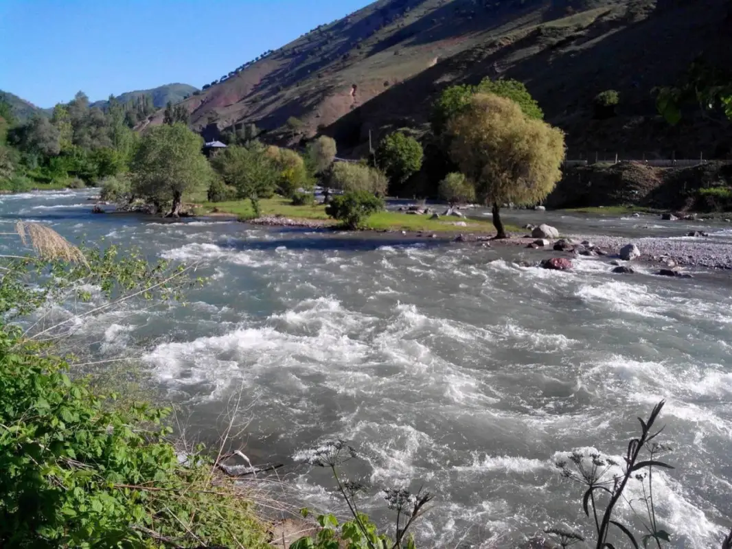 Тела пропавших туристов нашли в горах Туркестанской области