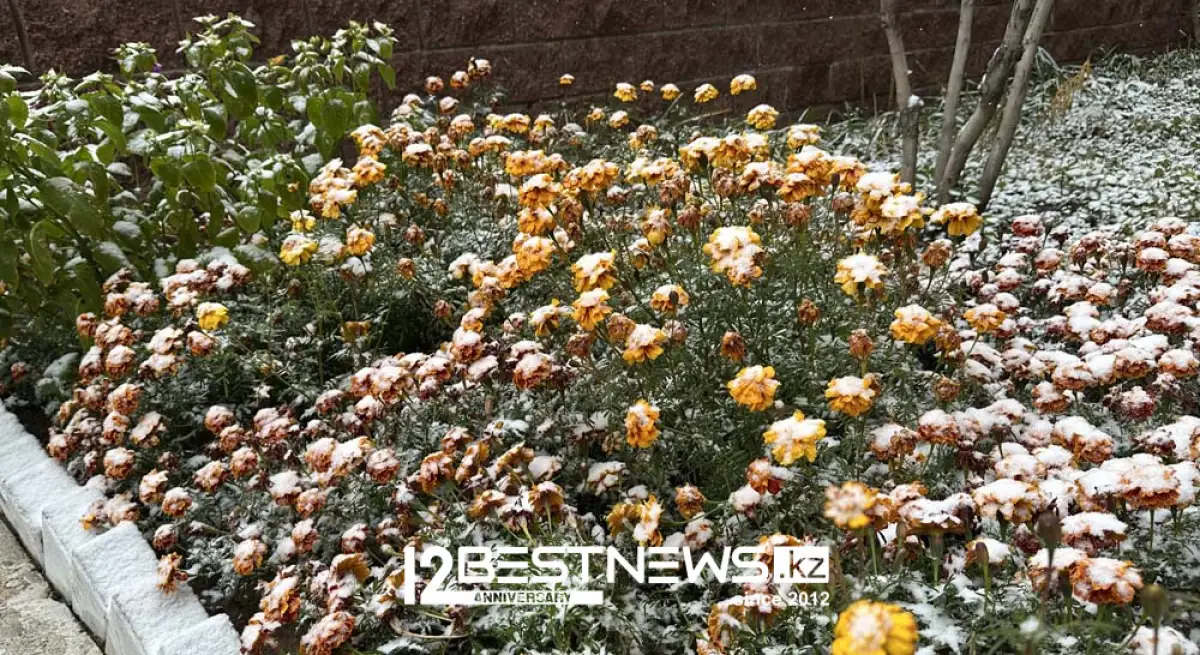 Заморозки сохранятся в Астане