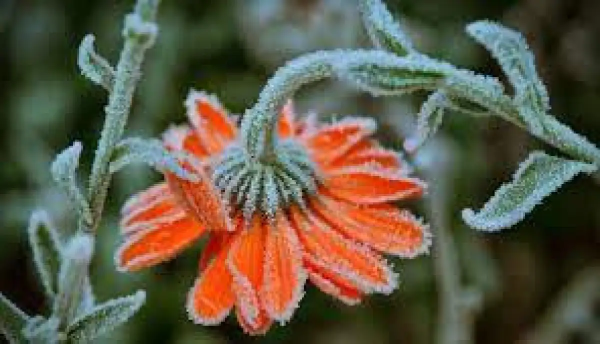 Местами – заморозки: погода по Казахстану на 18 августа