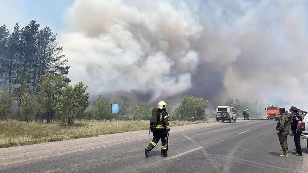 Близ Караганды загорелась лесопосадка, пожар раздувает ветер