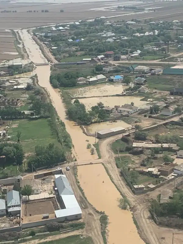 Создана правкомиссия по ликвидации последствий подтопления сел Туркестанской области