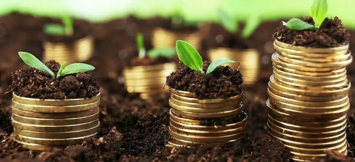 В Павлодарской области бизнесу выставили незаконный земельный налог