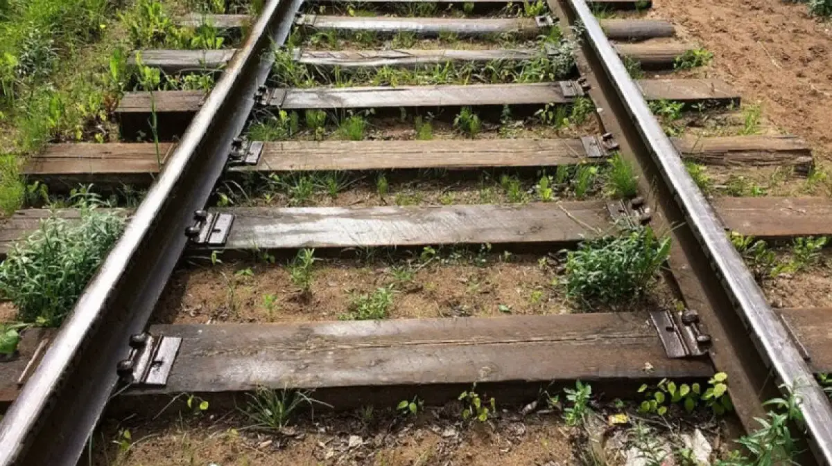 На участке "Отар-Алматы-1" поезд сбил двух людей