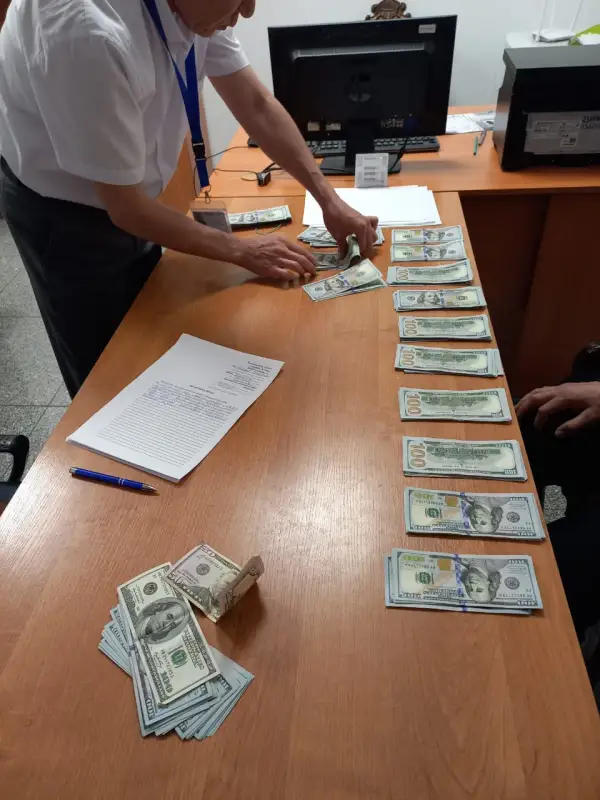 Гражданин Узбекистана пытался провезти 21,6 тысяч долларов через аэропорт в Нур-Султане - видео