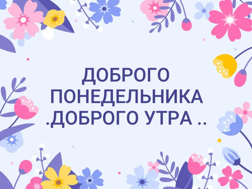 Bestnews.kz желает лёгкого понедельника!