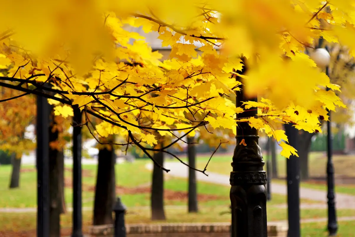 Холод и осень: погода по Казахстану на выходные