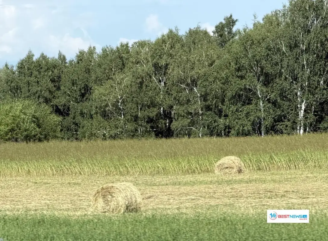 Жителей Астаны снова ждет сильная жара