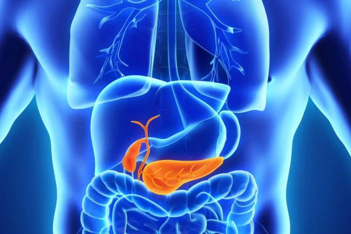 Ученые создали искусственную поджелудочную железу