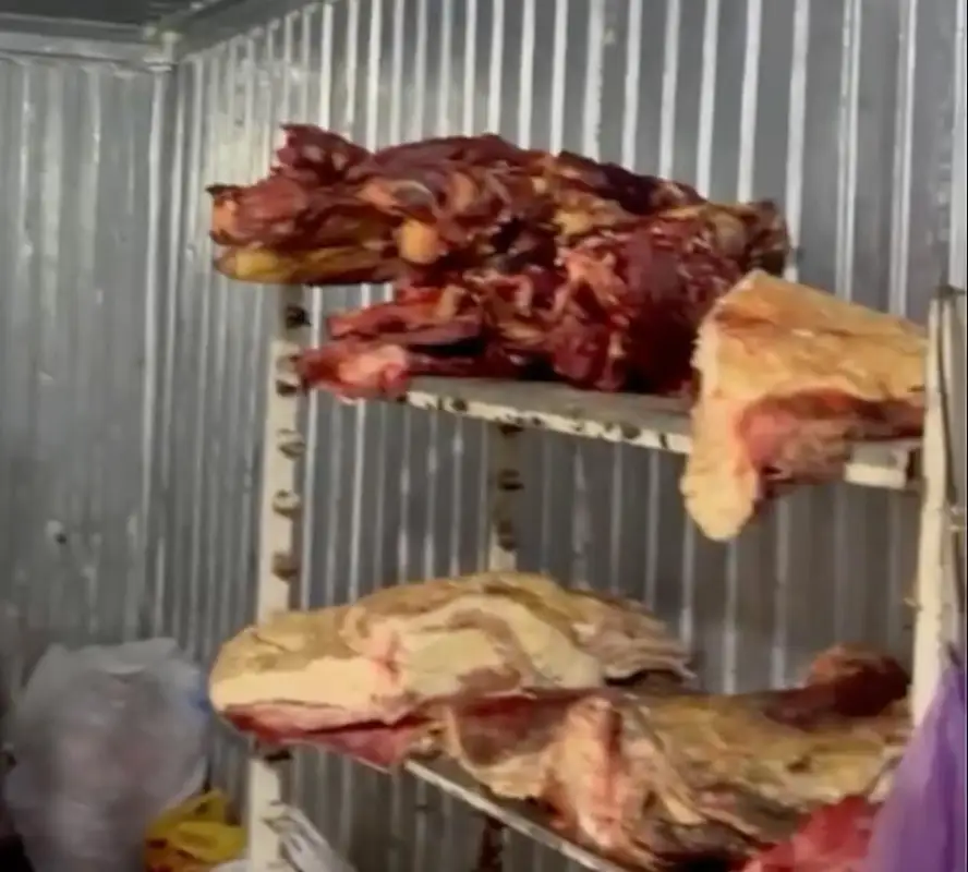 В Астане в грязном гараже перерабатывали мясо
