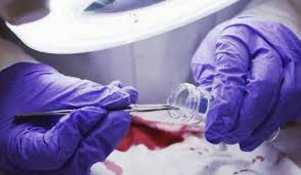 По «делу Бишимбаева» проведено 11 экспертиз – министр юстиции Казахстана