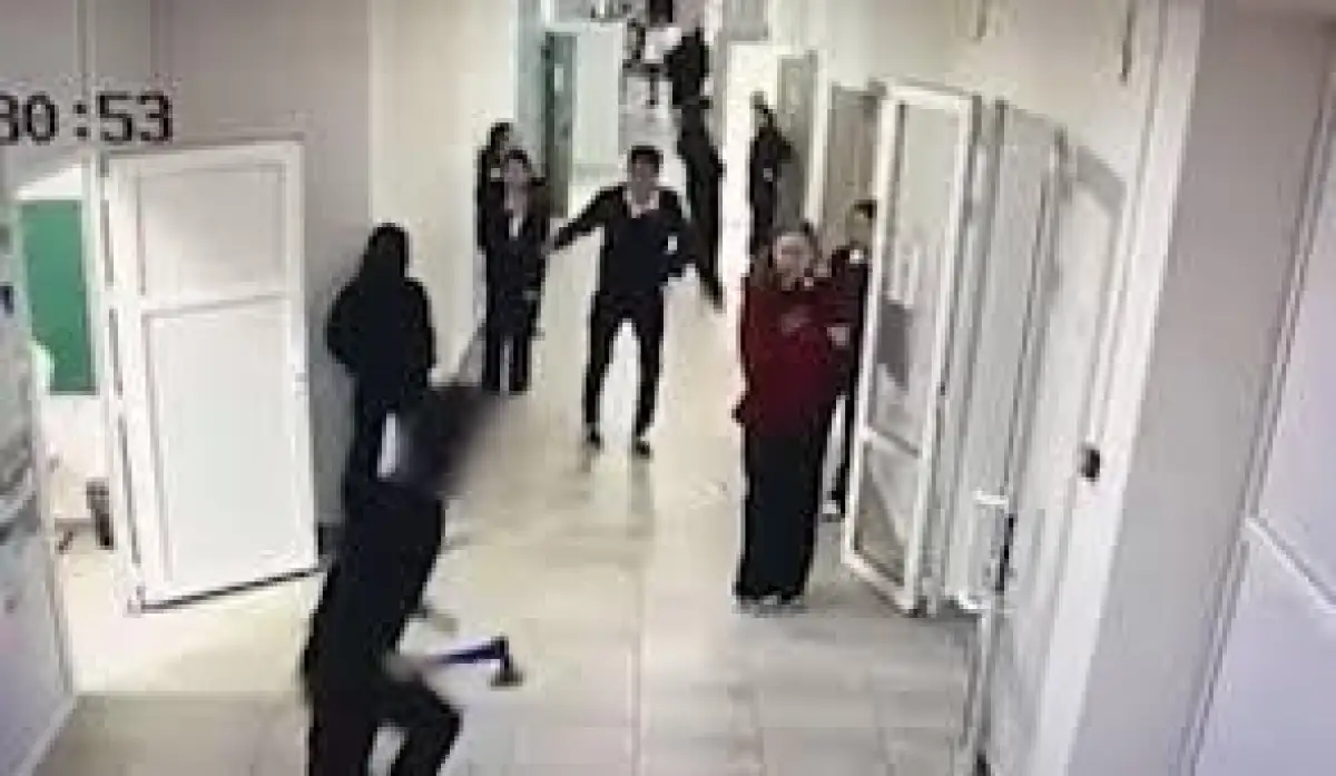 Школьник бегал с топором: мажилисмен Смирнова не согласна с post-мерами