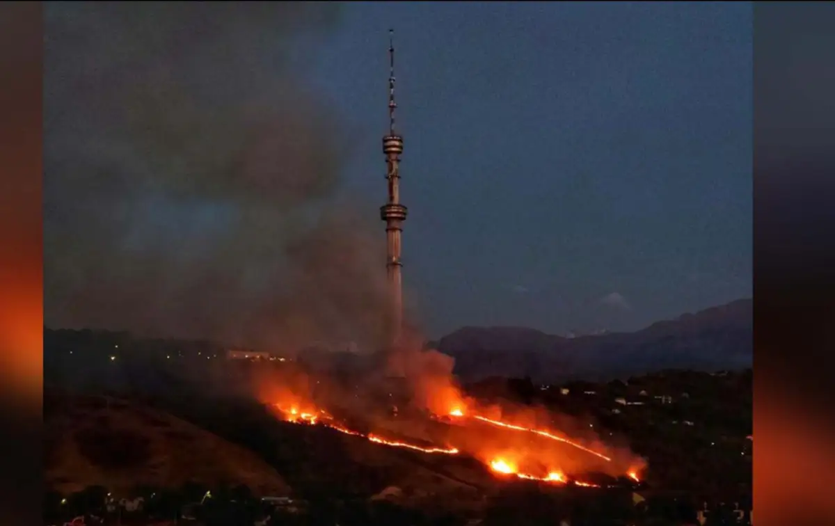Большой пожар на Кок-Тобе ликвидировали - видео
