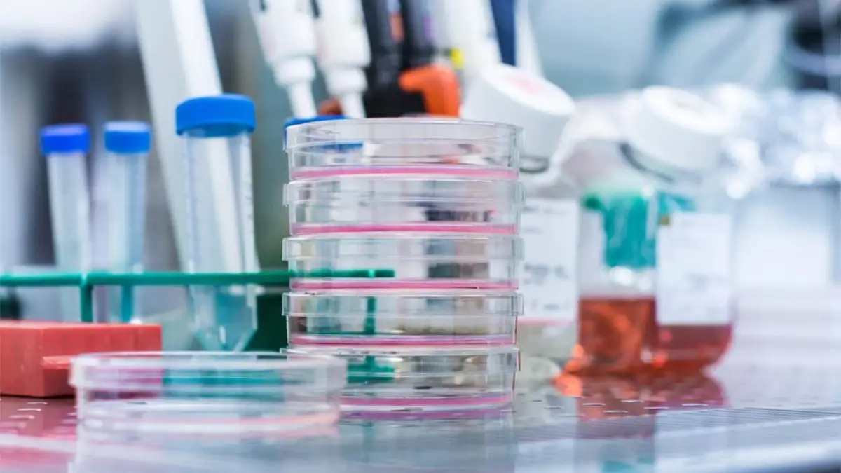 Биртанов  об отсутствии COVID-19 в Костанайской области: «Никакого феномена нет»