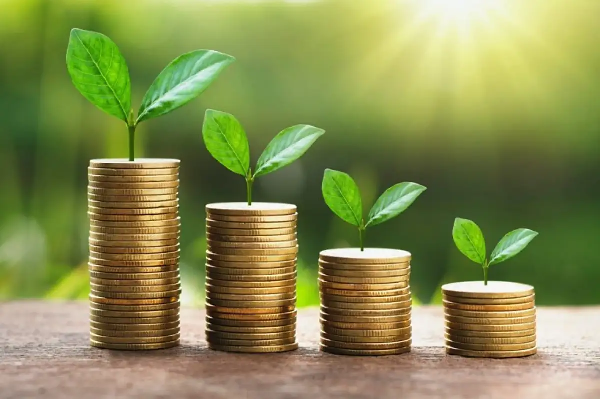 Фермерам Жамбылской области, пострадавших после засухи, ускорят выплату субсидий