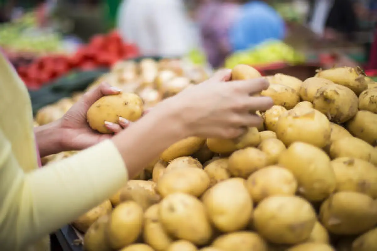 Дефицита нет: ограничение в виде 5 кг картофеля в одни руки сняли в Астане