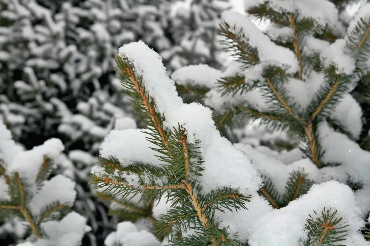 Жителей Кокшетау, Туркестана, Шымкента предупредили о шторме