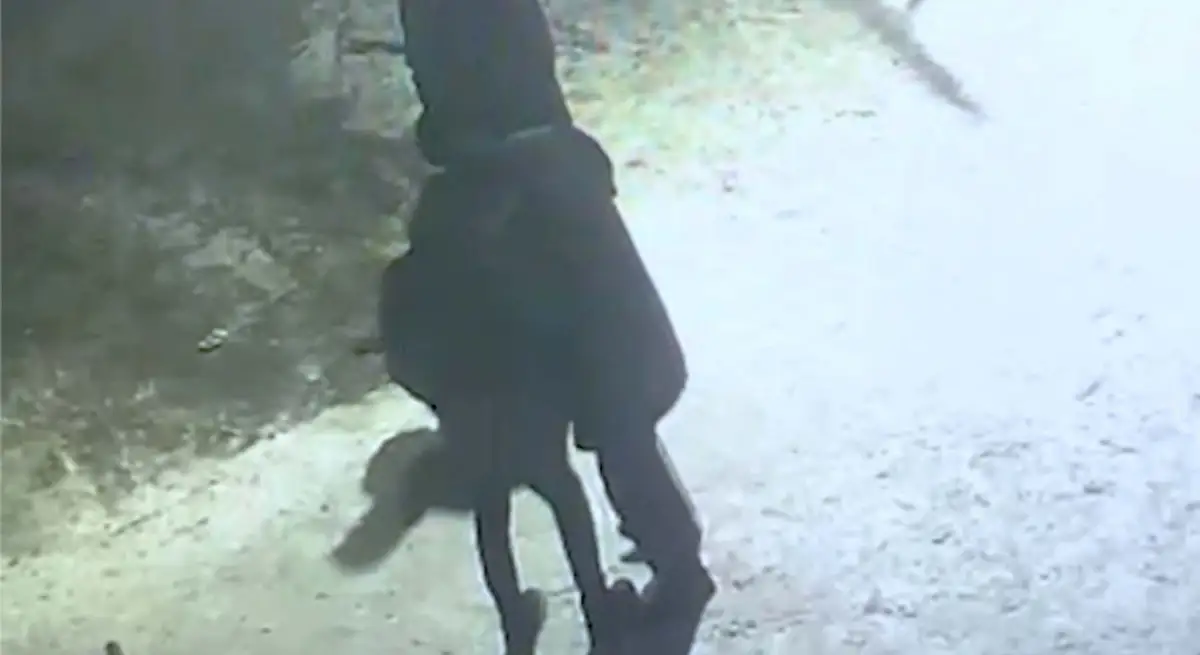 Видео: астанчанин обнял прохожего и вытащил из его кармана смартфон