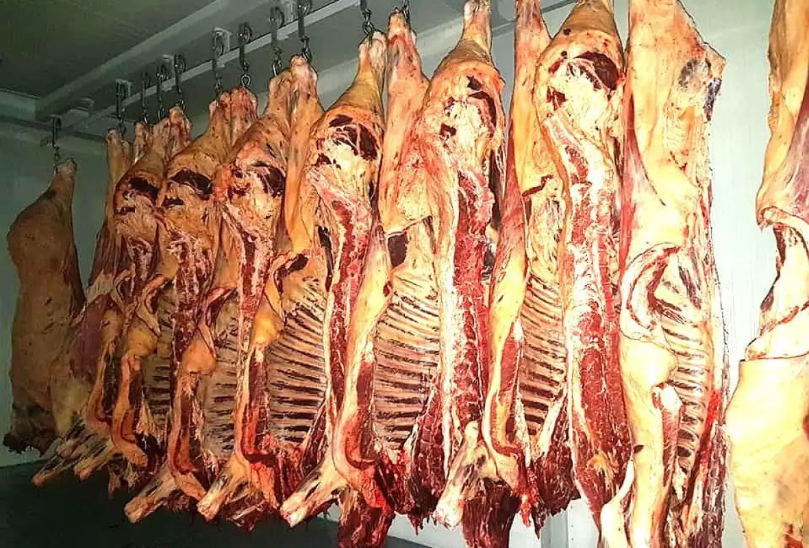 В Минсельхозе не исключают пересмотра требований для экспорта говядины из Казахстана