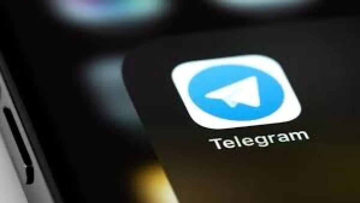 Аида Балаева назвала «необходимыми» переговоры с администрацией Telegram