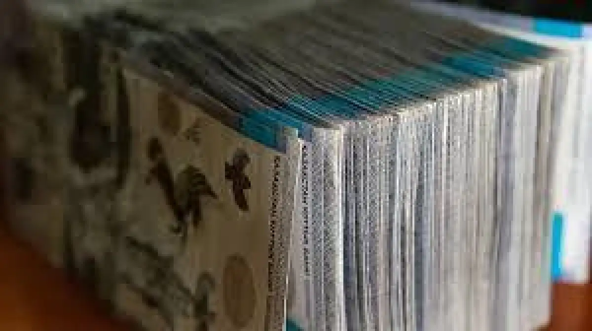 Пожертвования на лечение ребенка. Как Тотакановы потратили 1,4 млрд тенге