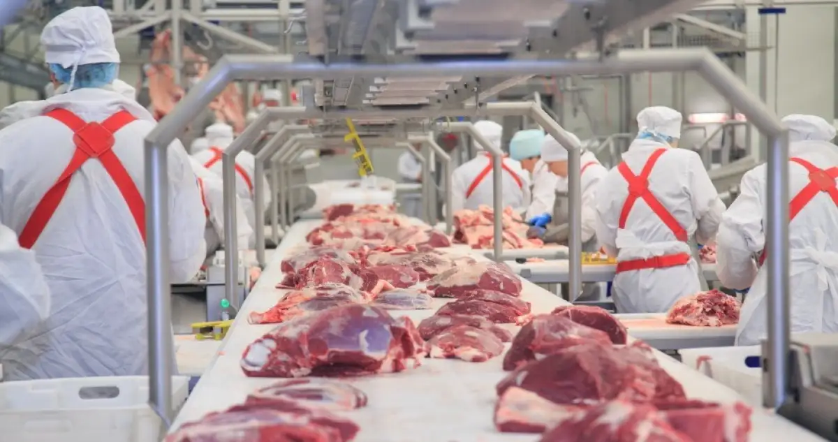 Мясокомбинаты Казахстана загружены только на половину - Карашукеев