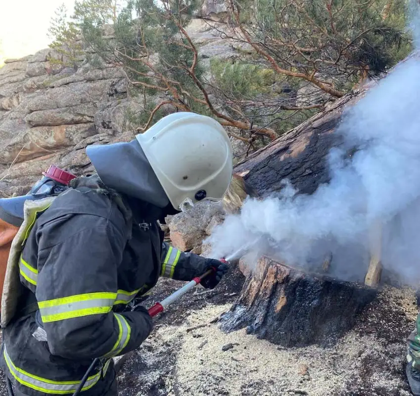 220 пожарных боролись с огнем в Жасыбайском районе