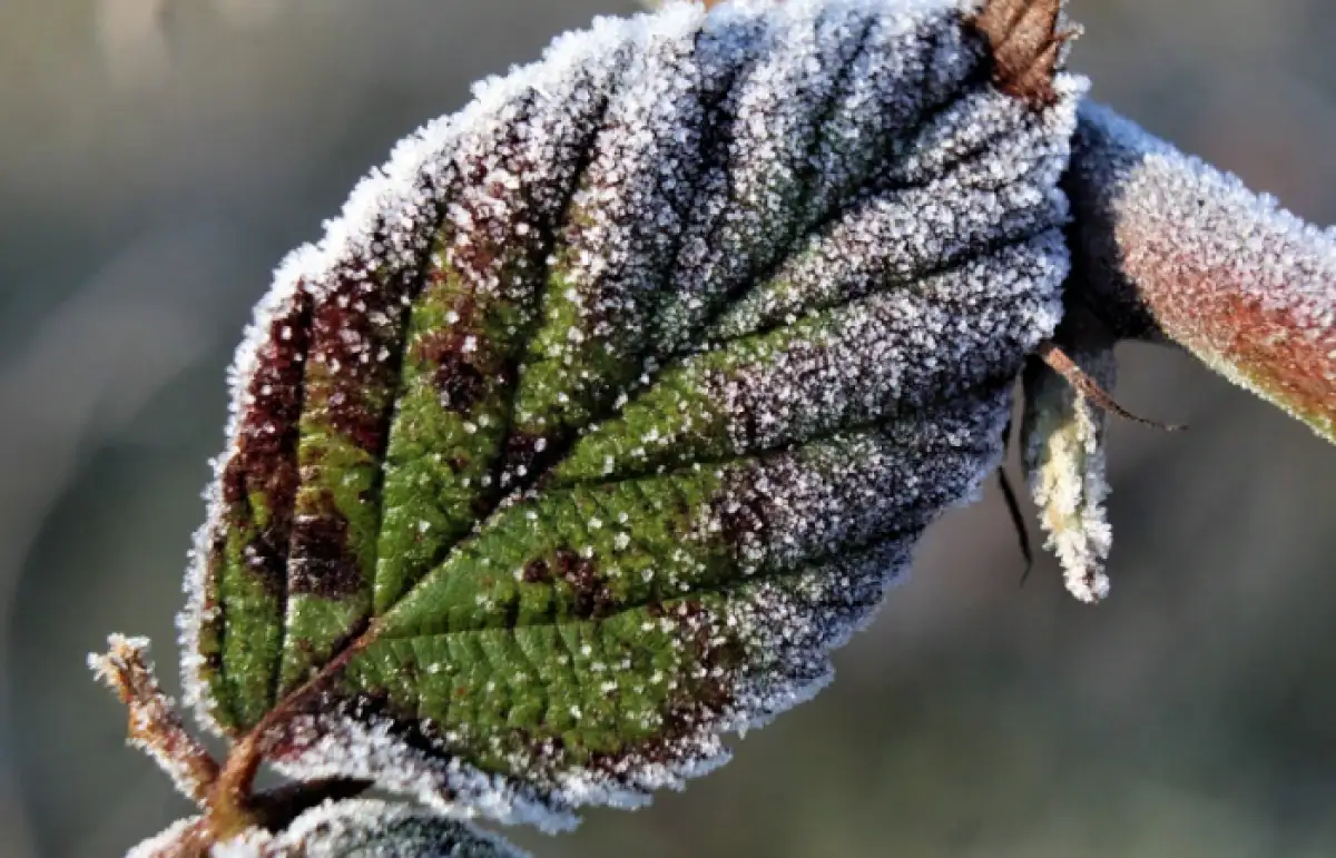 В Казахстане октябрь начнется с заморозков