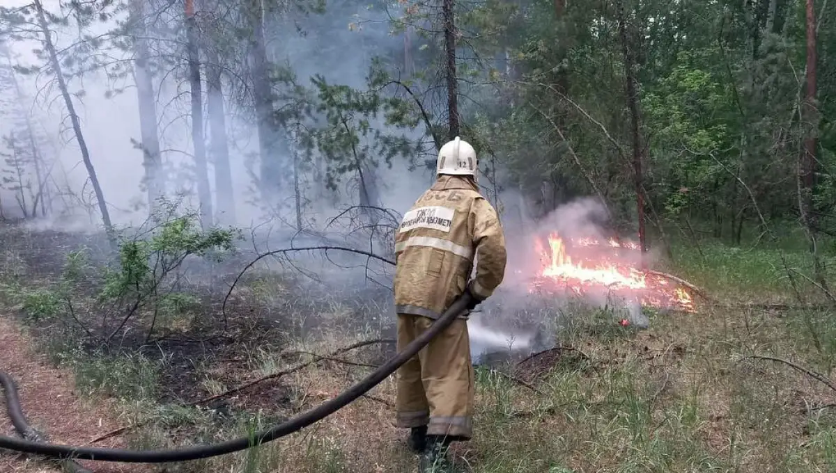 Лесные пожары в области Абай: Премьер-министр поручил ускорить переброску сил