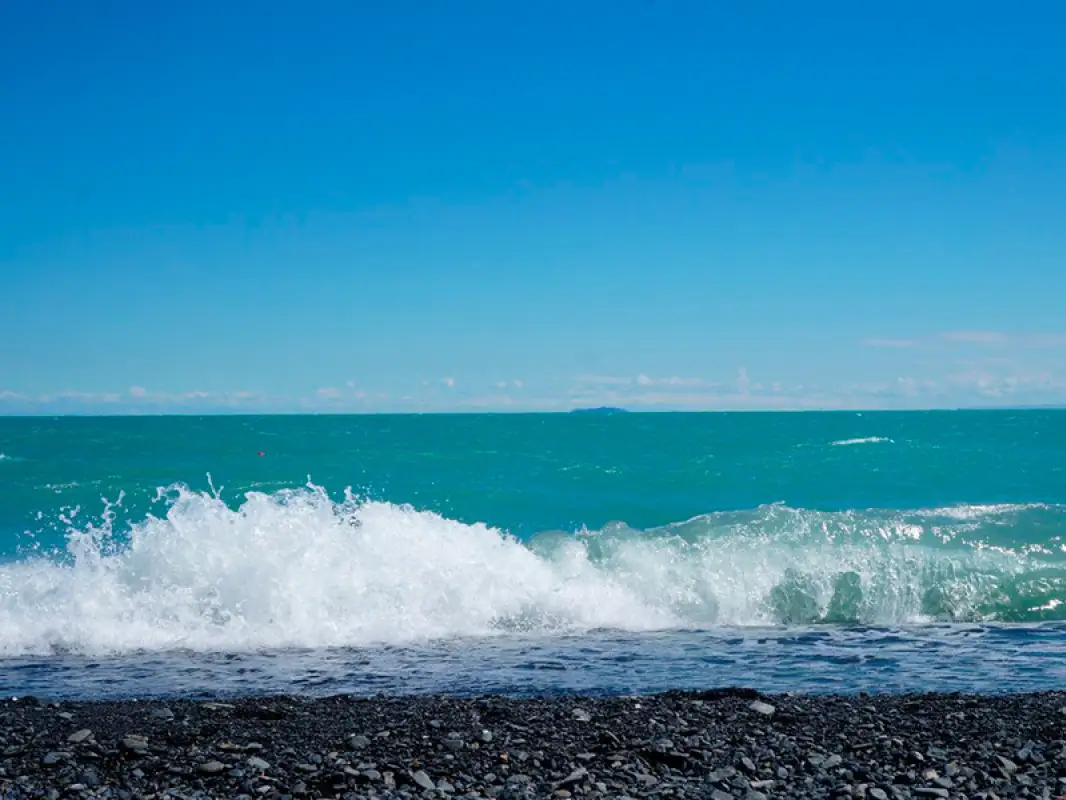 Гибель птиц на Алаколе: эксперты проверили состояние воды