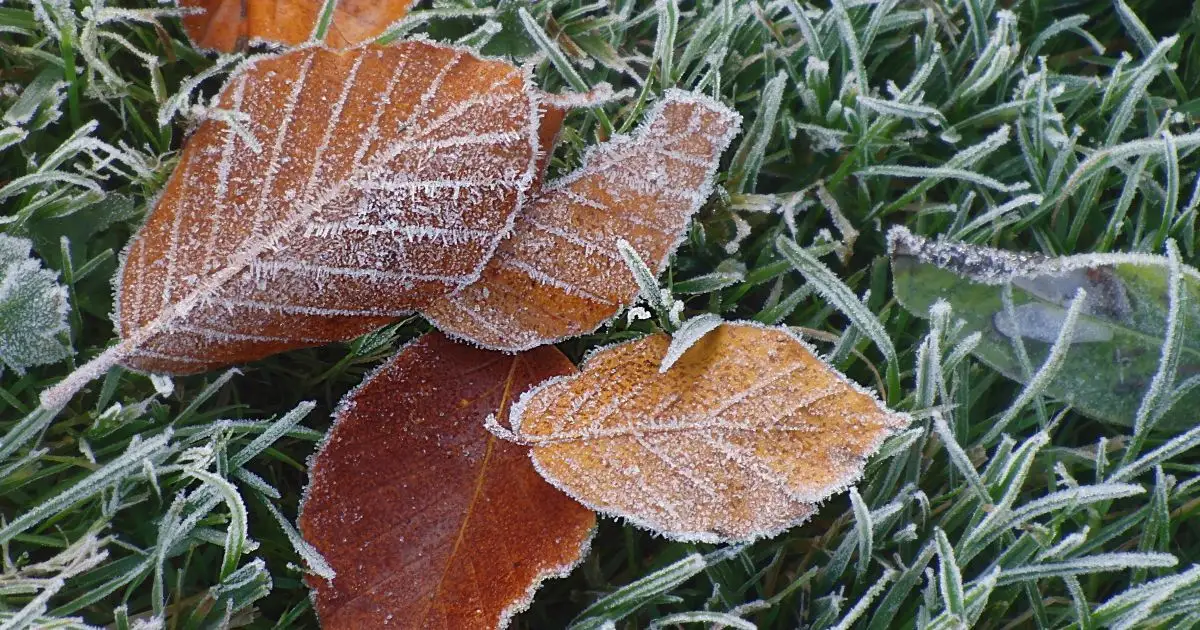 Ночные заморозки останутся: погода по Казахстану на 1-3 октября