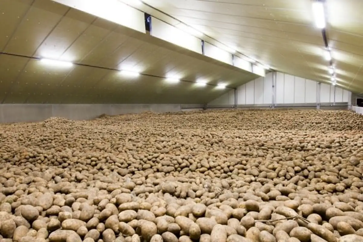 Премьер-министр Бектенов поручил акимам создать запасы продовольствия