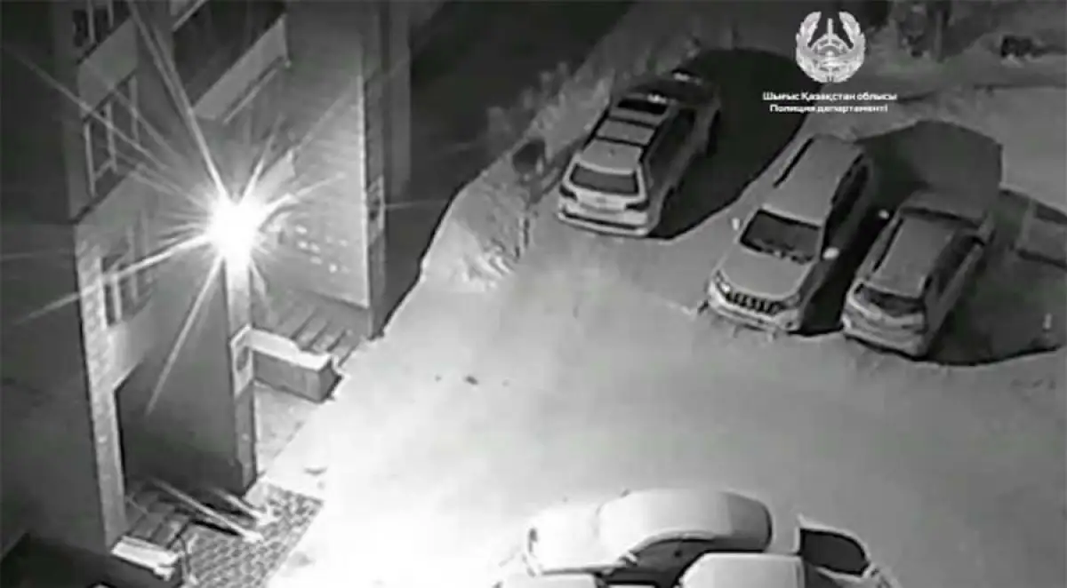 В Усть-Каменогорске поджигатель Lexus-570 попал на видеокамеру