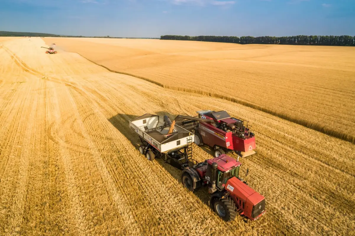 Битва за урожай, план развития Экибастуза - live-заседание Правительства РК