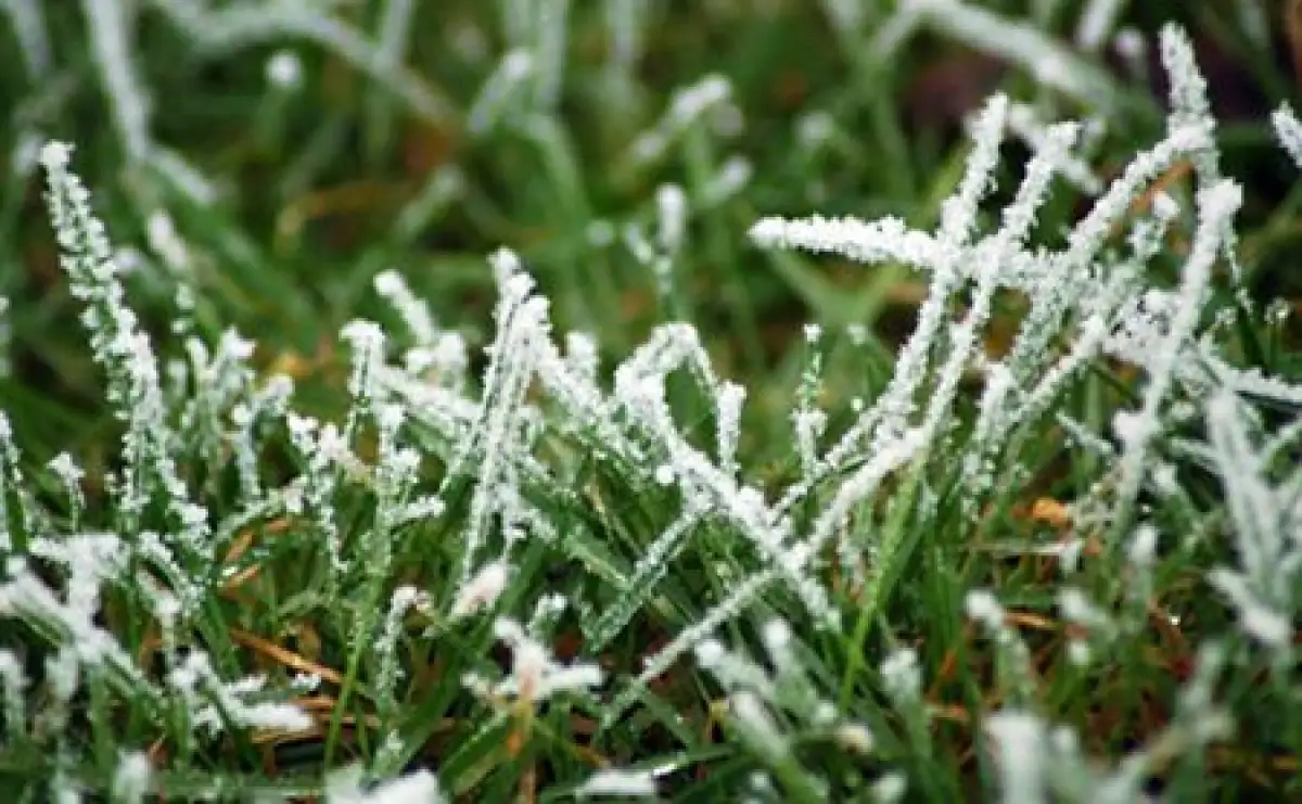 В Казахстане ожидаются похолодание и заморозки