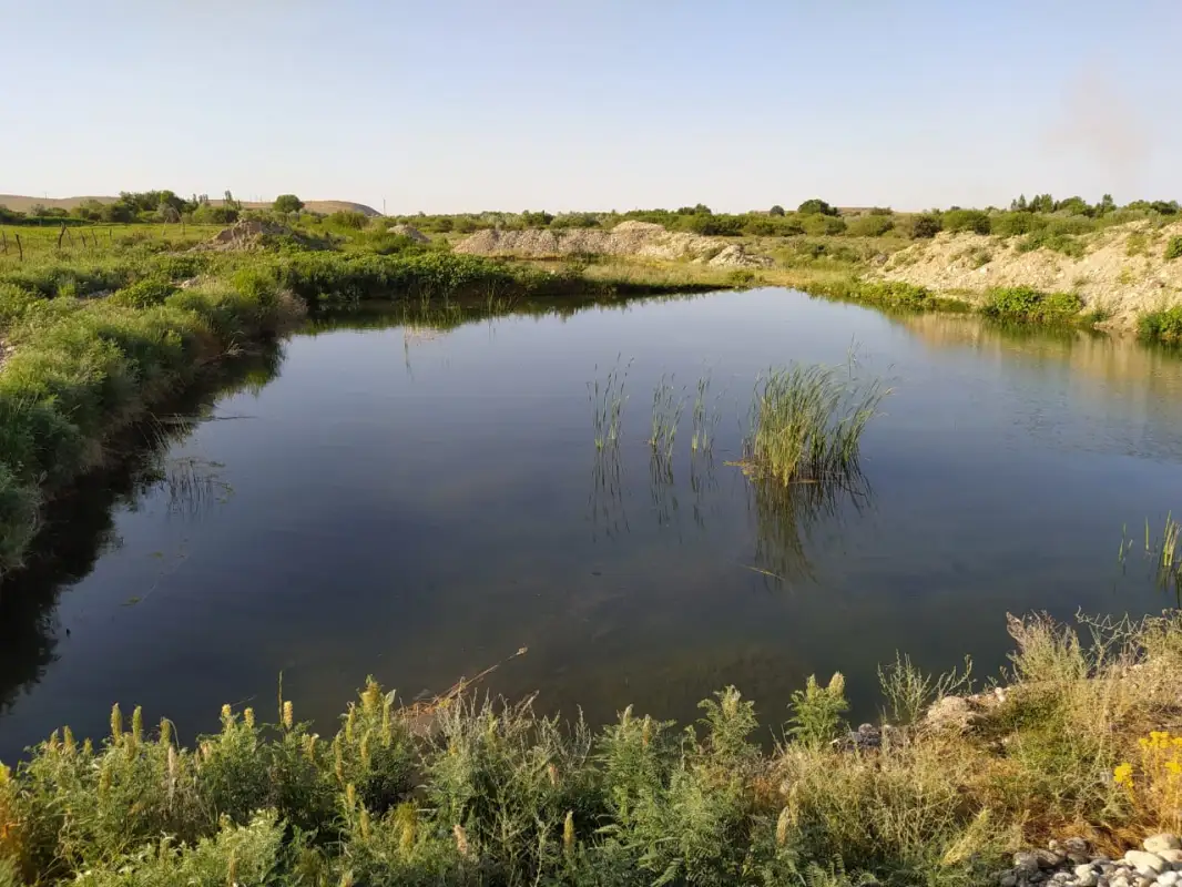 В Жамбылской области утонула девочка, купаясь в запрещенном месте