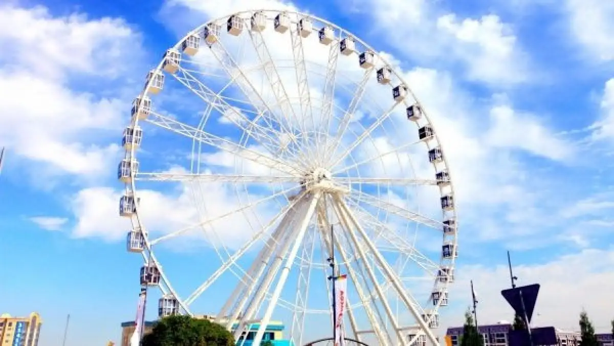 «Спрыгнула с колеса обозрения»: В МВД сообщили детали об убийстве жительницей Алматы своего ребенка